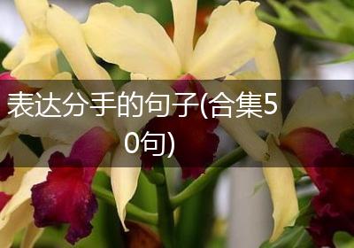 表达分手的句子(合集50句)