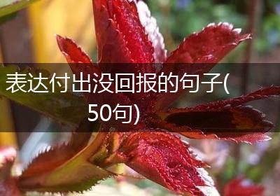 表达付出没回报的句子(50句)