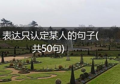 表达只认定某人的句子(共50句)