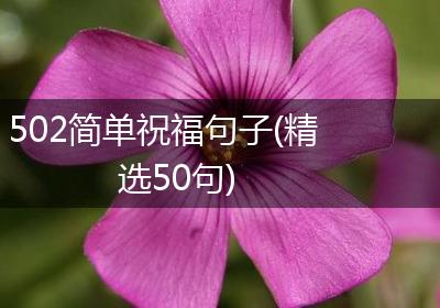 502简单祝福句子(精选50句)