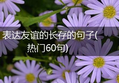 表达友谊的长存的句子(热门60句)