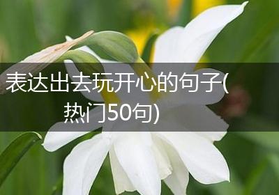表达出去玩开心的句子(热门50句)