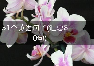 51个英语句子(汇总80句)