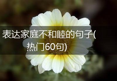 表达家庭不和睦的句子(热门60句)