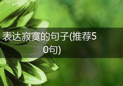 表达寂寞的句子(推荐50句)