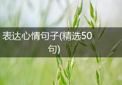 表达心情句子(精选50句)
