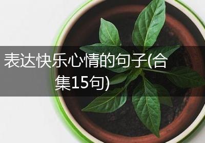 表达快乐心情的句子(合集15句)