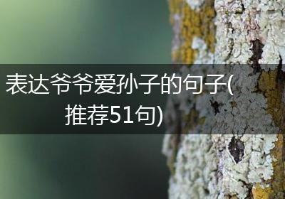 表达爷爷爱孙子的句子(推荐51句)