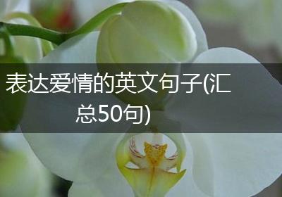 表达爱情的英文句子(汇总50句)