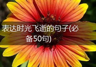表达时光飞逝的句子(必备50句)