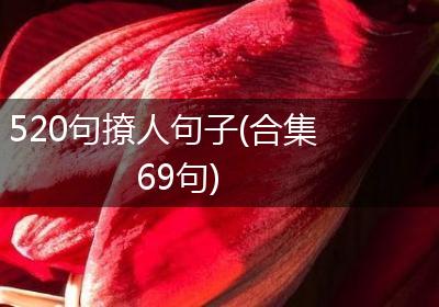 520句撩人句子(合集69句)