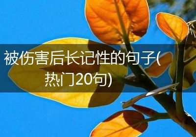 被伤害后长记性的句子(热门20句)