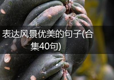 表达风景优美的句子(合集40句)