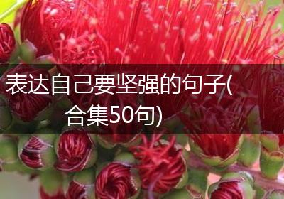 表达自己要坚强的句子(合集50句)