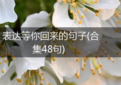 表达等你回来的句子(合集48句)