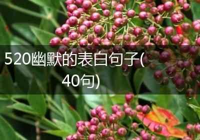 520幽默的表白句子(40句)