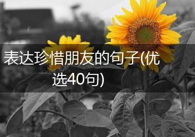 表达珍惜朋友的句子(优选40句)