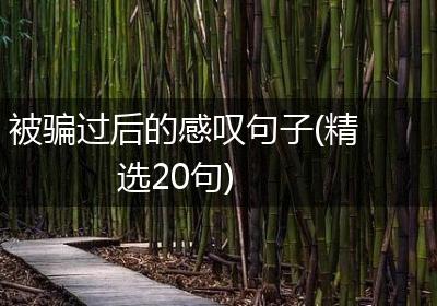 被骗过后的感叹句子(精选20句)