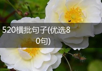 520横批句子(优选80句)