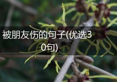 被朋友伤的句子(优选30句)