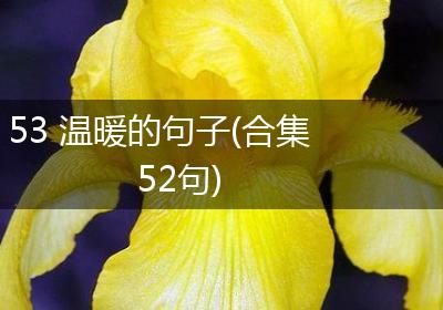 53 温暖的句子(合集52句)