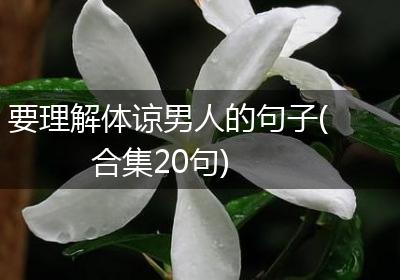 要理解体谅男人的句子(合集20句)