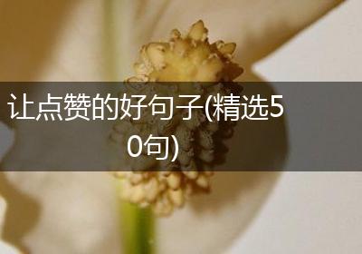让点赞的好句子(精选50句)