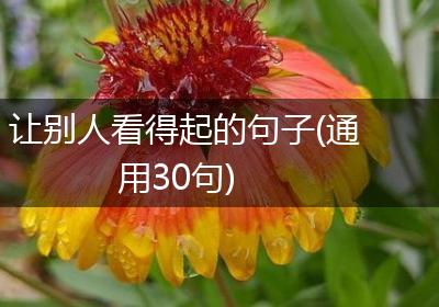 让别人看得起的句子(通用30句)