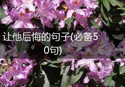 让他后悔的句子(必备50句)
