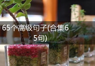 65个高级句子(合集65句)
