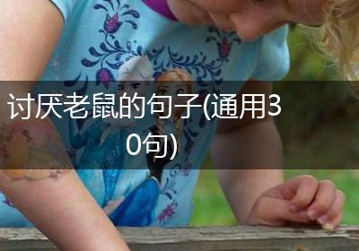 讨厌老鼠的句子(通用30句)