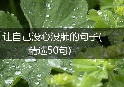 让自己没心没肺的句子(精选50句)