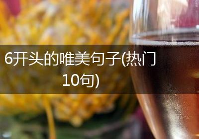 6开头的唯美句子(热门10句)