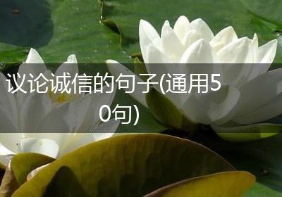 议论诚信的句子(通用50句)