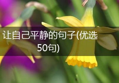 让自己平静的句子(优选50句)