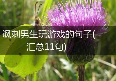 讽刺男生玩游戏的句子(汇总11句)