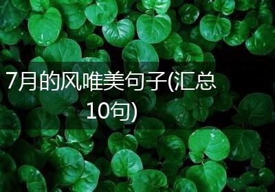 7月的风唯美句子(汇总10句)