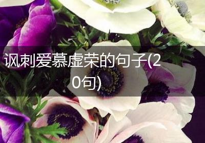 讽刺爱慕虚荣的句子(20句)