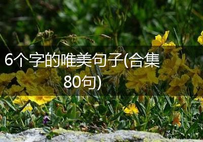 6个字的唯美句子(合集80句)