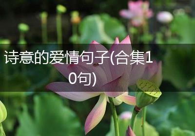 诗意的爱情句子(合集10句)