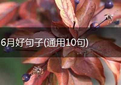 6月好句子(通用10句)