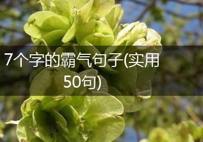 7个字的霸气句子(实用50句)