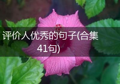 评价人优秀的句子(合集41句)