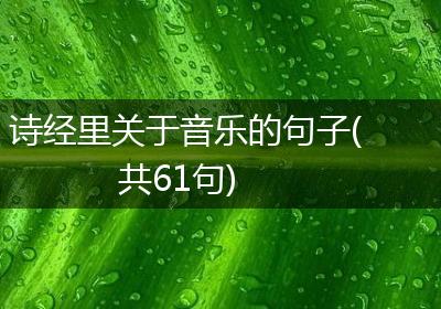 诗经里关于音乐的句子(共61句)