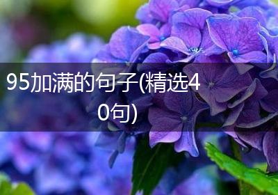 95加满的句子(精选40句)