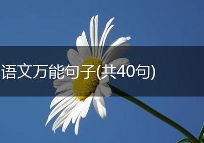 语文万能句子(共40句)