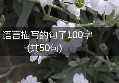 语言描写的句子100字(共50句)