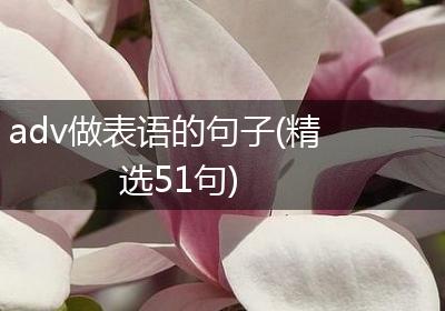 adv做表语的句子(精选51句)