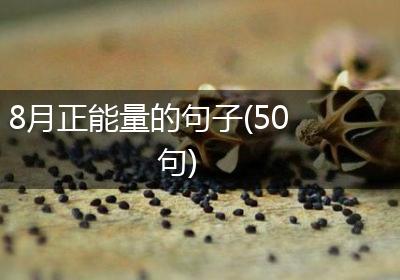 8月正能量的句子(50句)