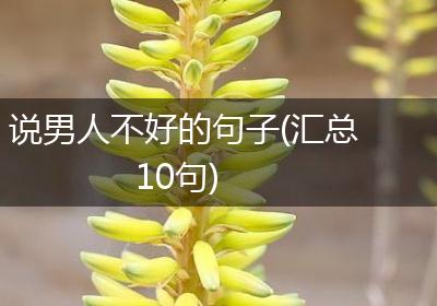 说男人不好的句子(汇总10句)
